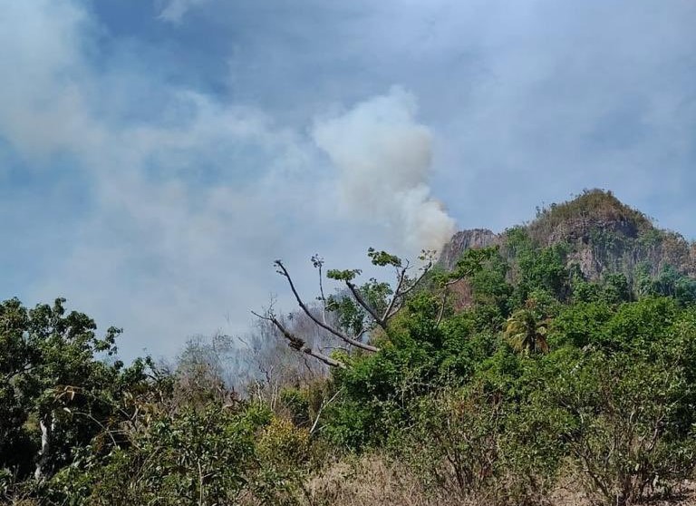 Crisis En Providencia Incendio Descontrolado Amenaza La Isla Y Genera